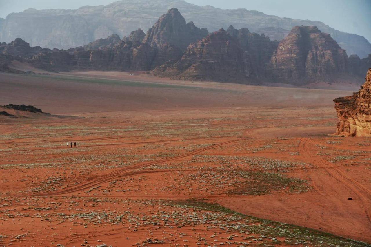 Art Camp Wadi Rum Exteriér fotografie