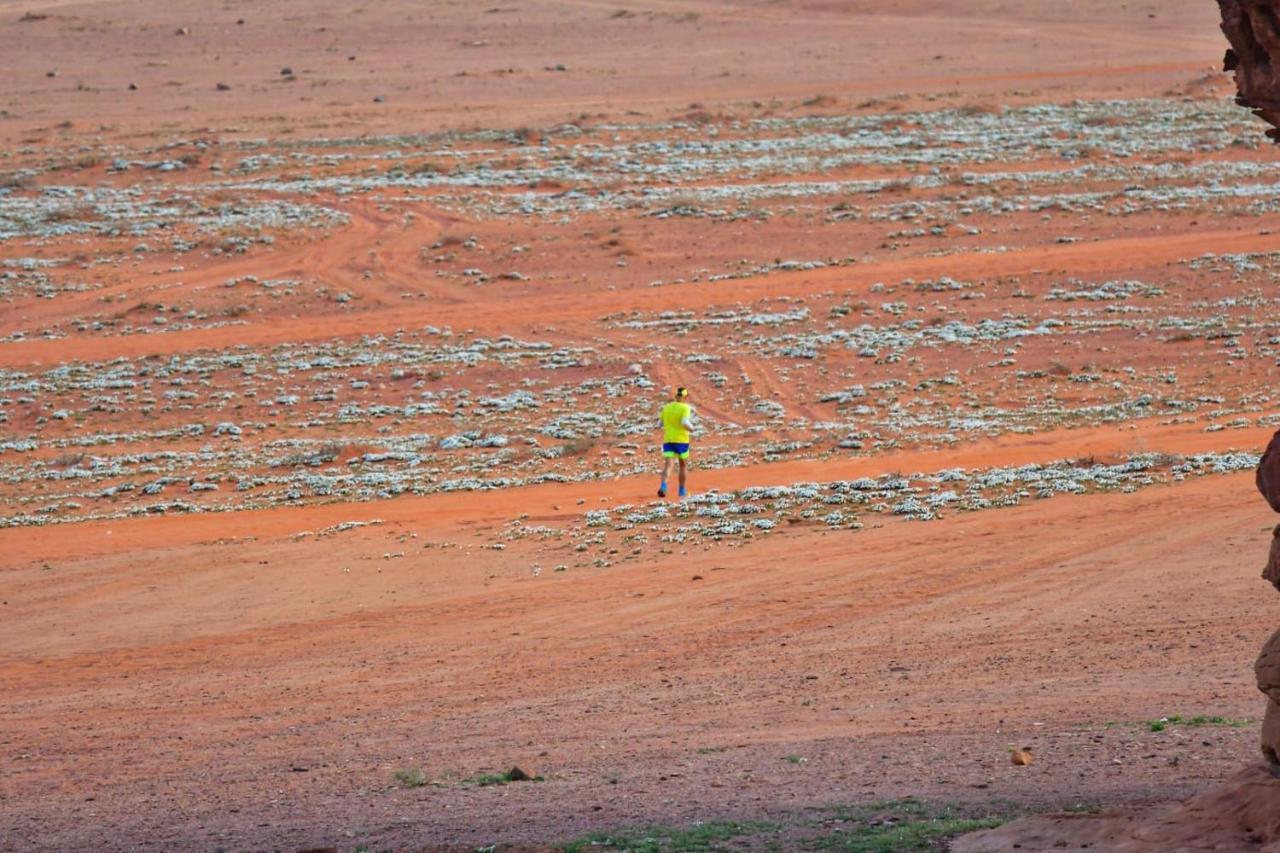 Art Camp Wadi Rum Exteriér fotografie